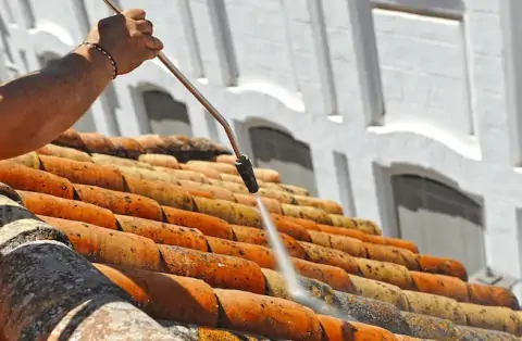 Nettoyage de toitures - Ségny